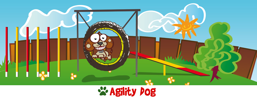 Agility dog