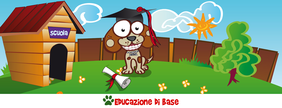 Educazione di base