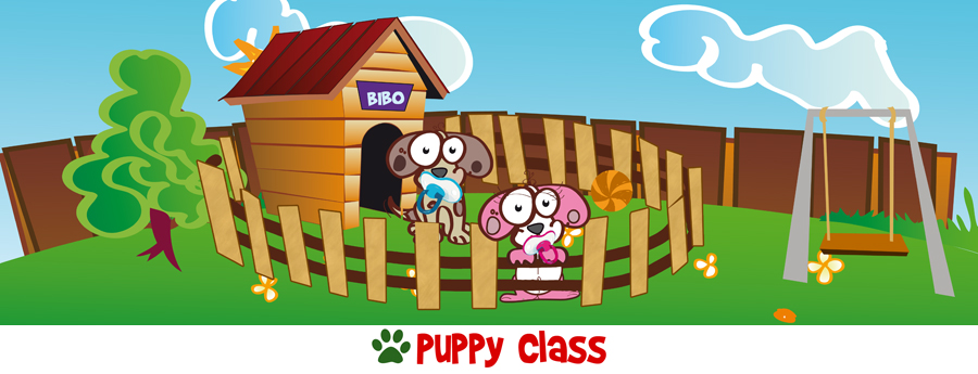 puppy class