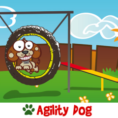 Agility dog