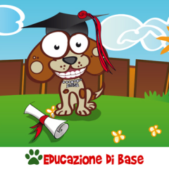 Educazione di base