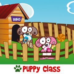 puppy class