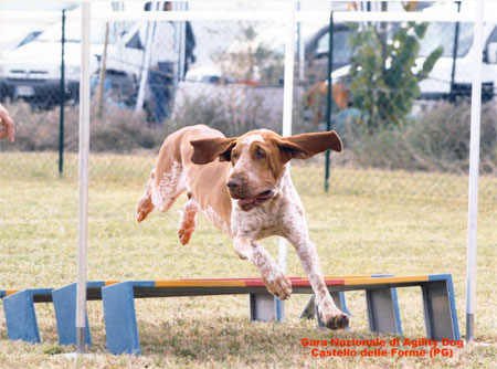 Agility