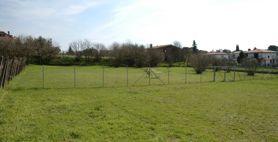 Addestramento - Pascolo